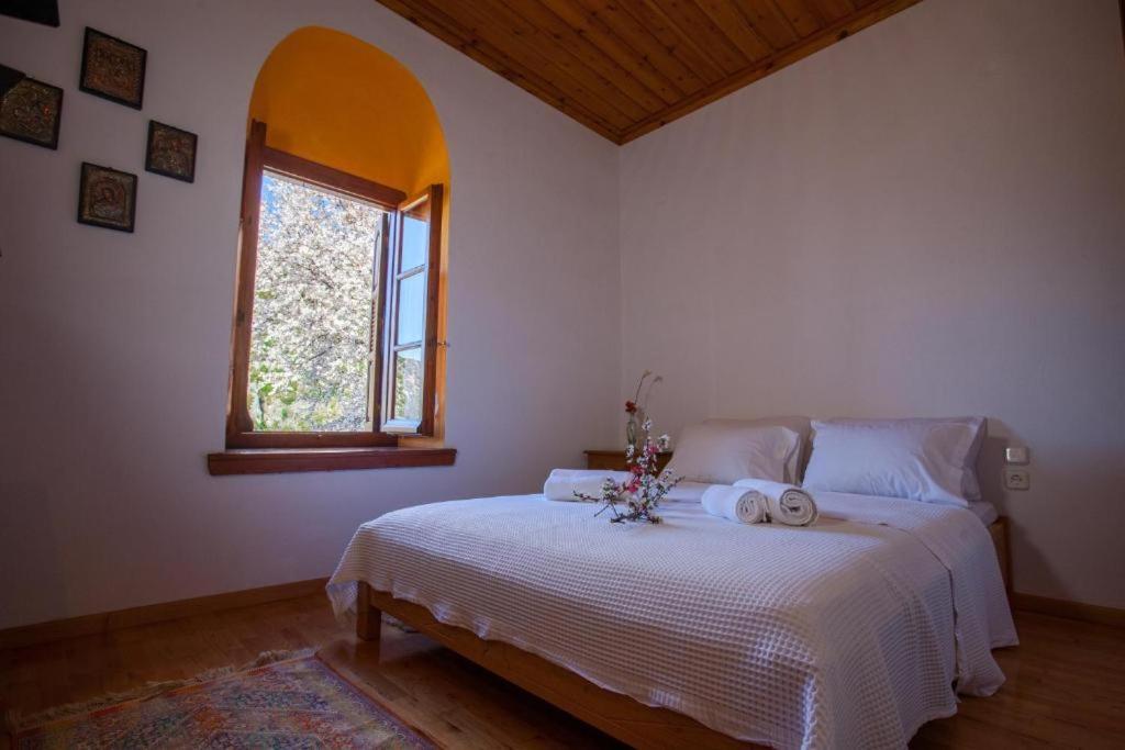 Eremia Rustic House - Entire Villa In Pelion Makrinítsa Extérieur photo