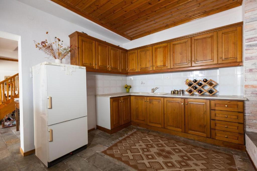 Eremia Rustic House - Entire Villa In Pelion Makrinítsa Extérieur photo