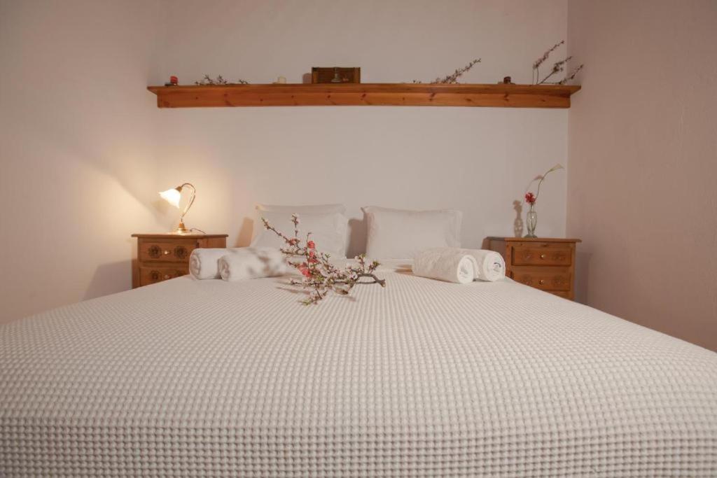 Eremia Rustic House - Entire Villa In Pelion Makrinítsa Extérieur photo